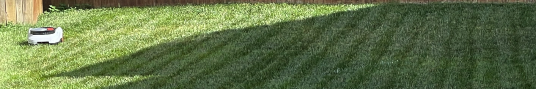 Fresh green lawn maintained by robotic mowing